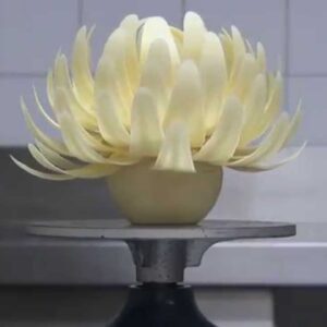 Kirsten Tibballs' Chocolate Flower in 15 Seconds | Savour School