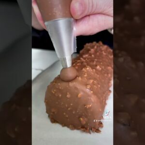 Chocolate and Raspberry Log! So good 🧑‍🍳🍫